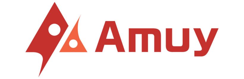 株式会社Amuy